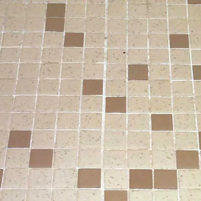 Hard Floor and Tile Cleaning
